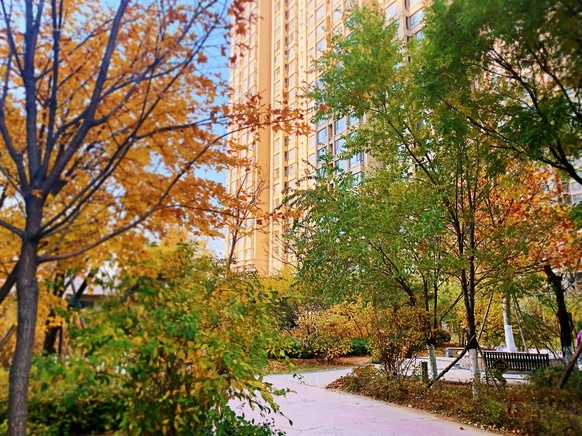 社区实景