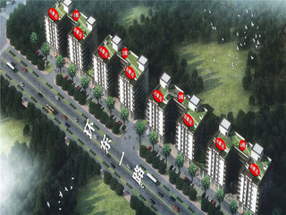 屯昌壹号